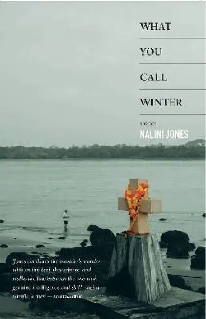 What You Call Winter by Nalini Jones