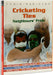 India- Pakistan: Cricketing Ties, Neighbours Pride by Omar Kureishi