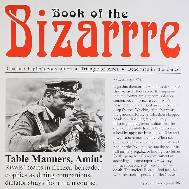 Book Of The Bizarre by Ashok Malik