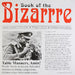 Book Of The Bizarre by Ashok Malik