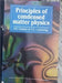 Principles Of Condensed Matter Physics by P M Chaikin