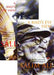A Bird's Eye View: The Collected Essays and Shorter Writings of Salim Ali by Tara Gandhi
