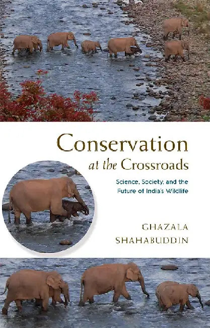 Conservation At The Crossroads: Science, Society, and the Future of India's Wildlife by Ghazala Shahabuddin