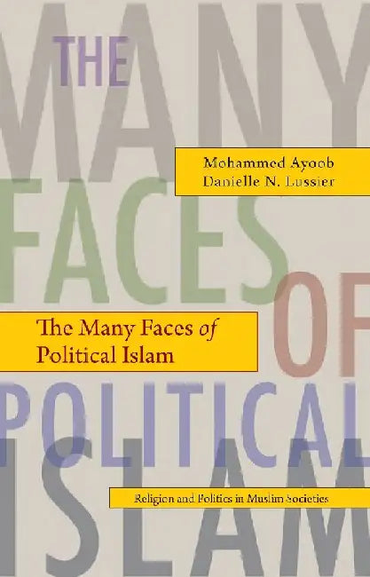 The Many Faces of Political Islam: Religion and Politics in Muslim Societies by Mohammed Ayoob and Danielle N. Lussier