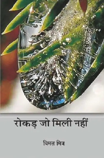 Rokar Jo Mili Nahin by Bimal Mitra
