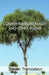 Corner Instrumentalist and Other Poems by Steven Translateur