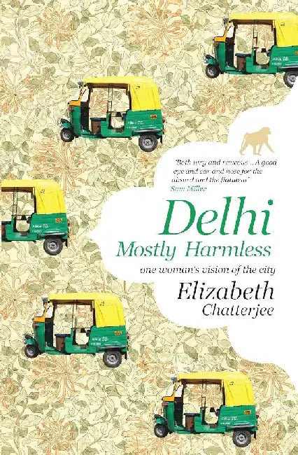 Delhi by Elizabeth Chatterjee