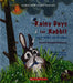 Rainy Days For Rabbit: Learn About The Weather by Kuntie Ramdat Balkaran