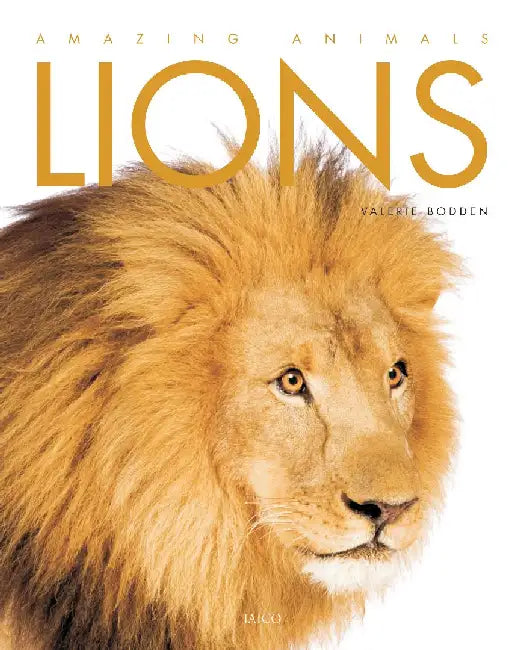 Lions by Valerie Bodden