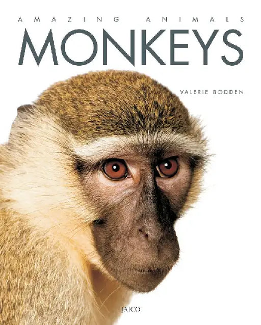 Monkeys by Valerie Bodden