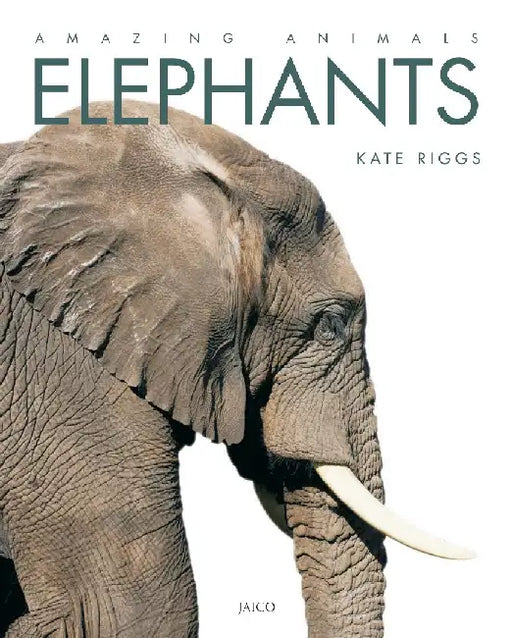 Elephants by Kate Riggs