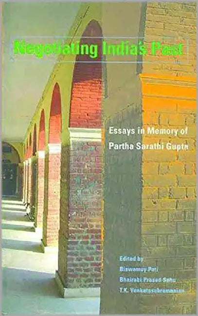 Negotiating India'S Past: Essays in Memory of Parth Sarathi Gupta by Biswamoy Pati, Bhairabi Prasad Sahu, T.K. Venkatasubramanian