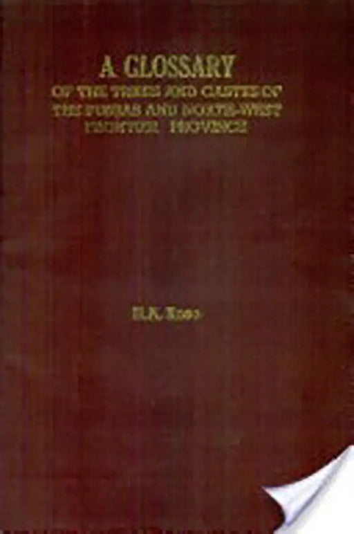 Glossary Of The Tribes And Castes Of The Punjab And North-West Frontier Province  (Vol. 2) by H.A. Rose