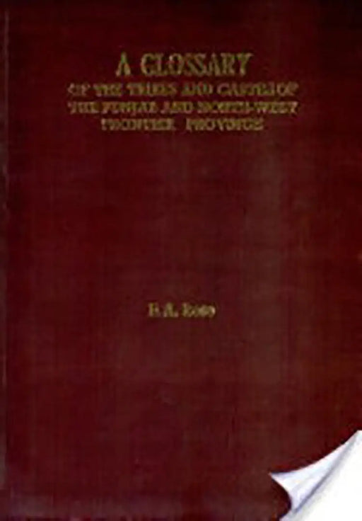 Glossary Of The Tribes And Castes Of The Punjab And North-West Frontier Province  (Vol. 3) by H.A. Rose