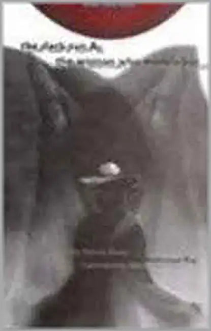 Dark Sun & The Women Who Wore A Hat by Kamal Desai, K Deasi