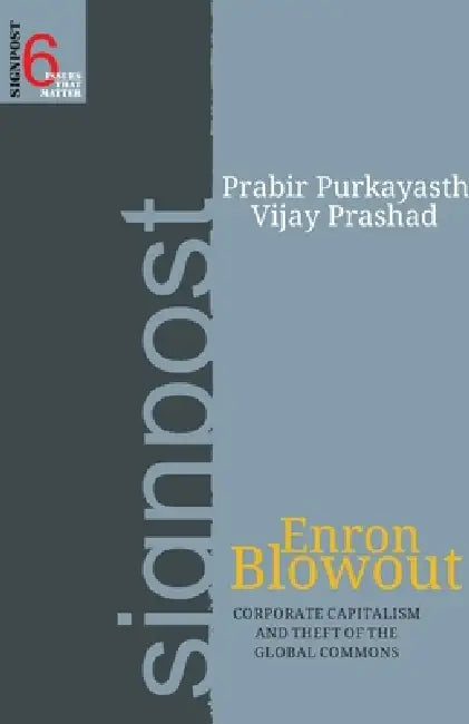 Enron Blowout by Vijay Prabir Prashad