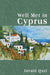 Well Met in Cyprus by Javaid Qazi