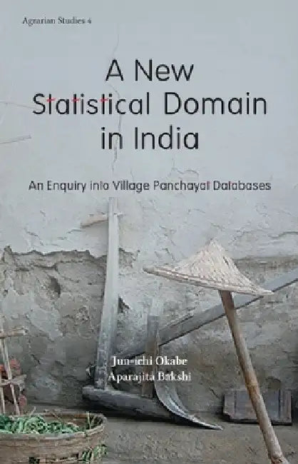 A New Statistical Domain in India: An Enquiry into Village Panchayat Databases by Jun-Ichi Okabe