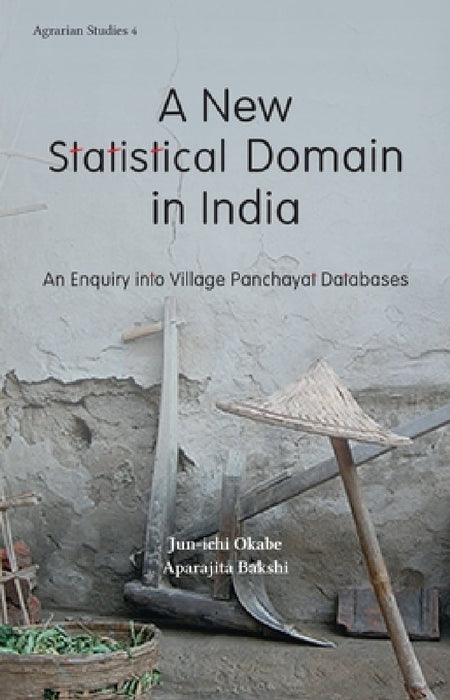 A New Statistical Domain in India: An Enquiry into Village Panchayat Databases