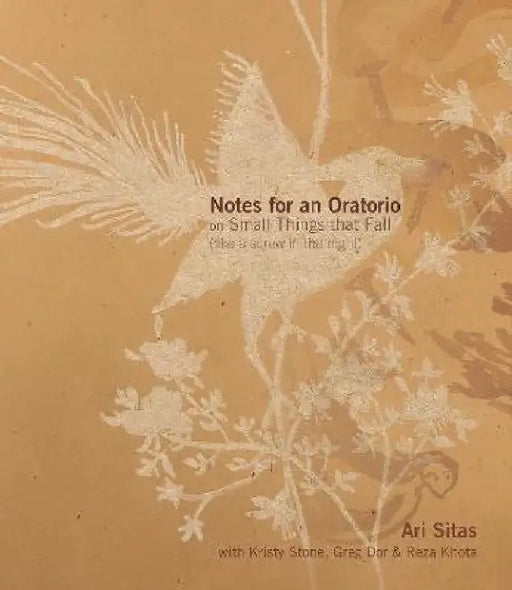 Notes for an Oratorio on Small Things That Fall by Ari Sitas