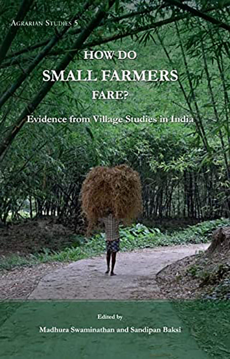 How do Small Farmers Fare?: Evidence from Village Studies in India