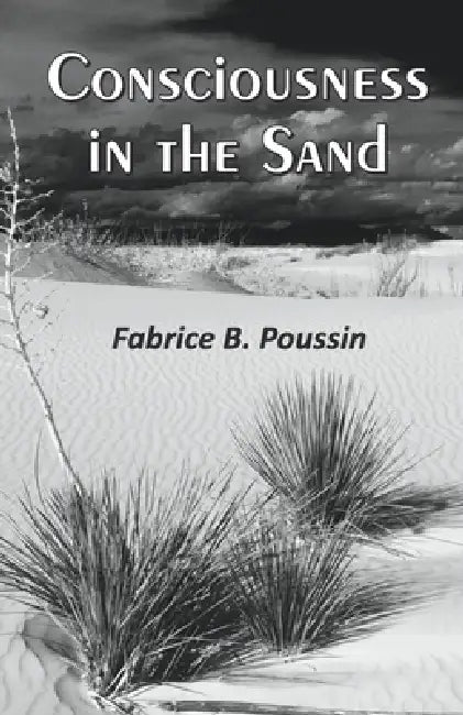 Consciousness in the Sand by Fabrice B. Poussin