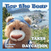 Tor the Bear Takes a Daycation: (7 book series) by Lin-Marita Sandvik, Lin-Marita Sandvik