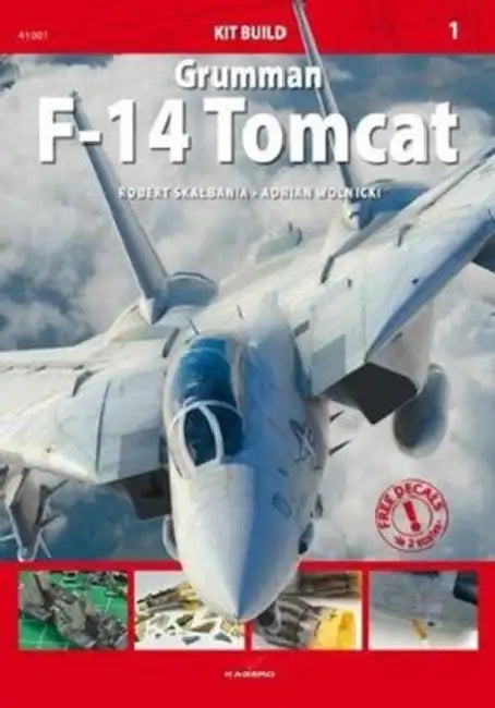 Grumman F-14 Tomcat by Robert Skalbania, Adrian Wolnicki