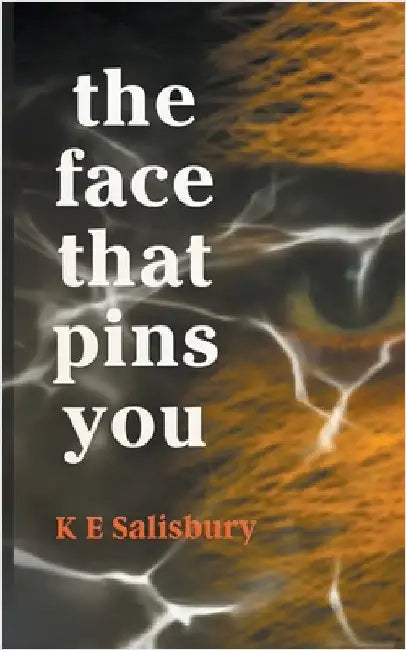 The Face That Pins You by K. E. Salisbury