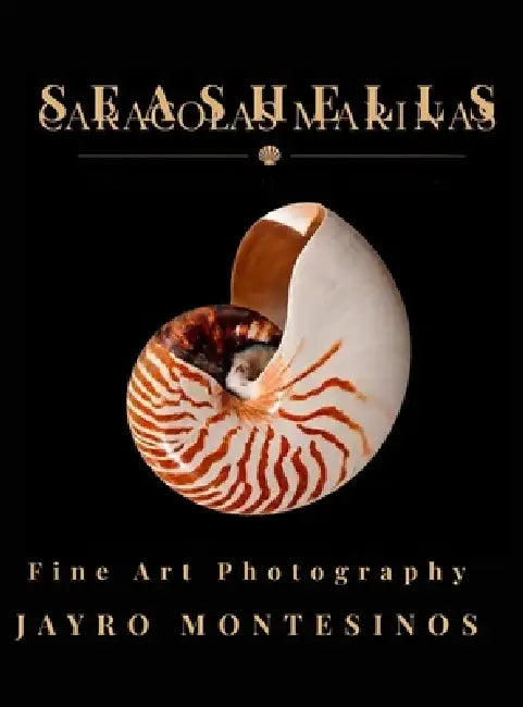 Seashells: Fine Art Photography by Jayro Montesinos