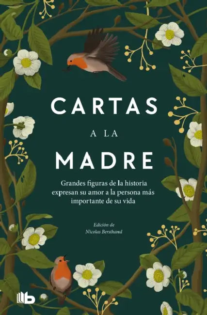 Cartas a la Madre / Letters to Mom by Nicolas Bersihand