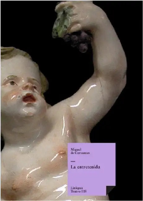 La entretenida by Miguel De Cervantes Saavedra
