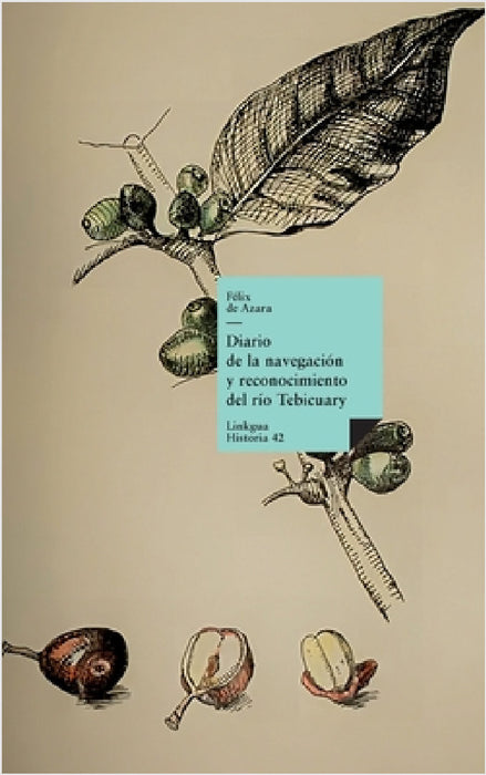 Diario de la navegación y reconocimiento del río Tebicuary by Félix de Azara