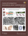 Avances en investigación en Nanociencias, Micro y Nanotecnologías (Vol II) by San Martín Martínez, Eduardo