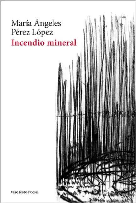 Incendio mineral by Pérez López, María Ángeles