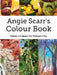 Angie Scarr's Colour Book: Nature's Colours For Polymer Clay by Angie Scarr