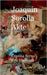 Joaquín Sorolla Akte by Berna, Cristina