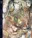 Proyedo Líquido by Jessica Taylor