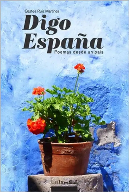 Digo España: Poemas desde un país by Ruiz Martínez, Íñigo