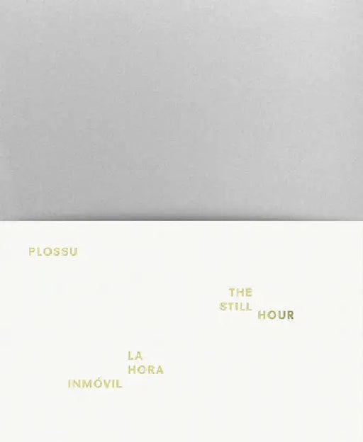 Bernard Plossu: The Still Hour by Bernard Plossu