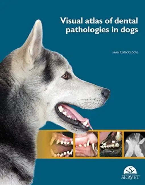 Visual Atlas of Dental Pathologies in Dogs by Javier Collados Soto