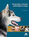 Visual Atlas of Dental Pathologies in Dogs by Javier Collados Soto