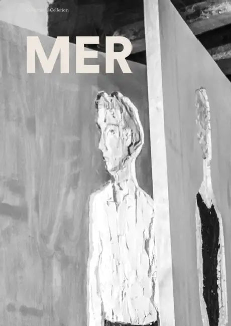 Collection Mer by Dan Cameron, Patricio Pron