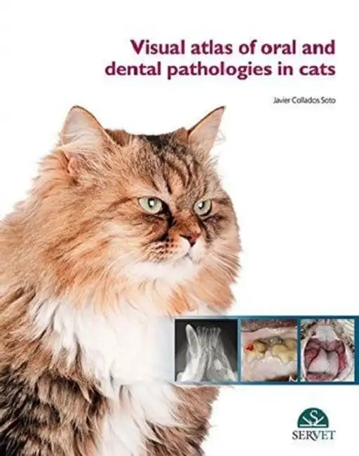 Visual Atlas of Oral and Dental Pathologies in Cats by Javier Collados Soto
