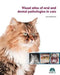 Visual Atlas of Oral and Dental Pathologies in Cats by Javier Collados Soto