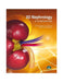 3D Nephrology in Small Animals by Oscar Cortadellas Rodriguez, Luisa Suárez Rey