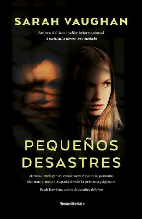 Pequeños Desastres/ Little Disasters by Sarah Vaughan