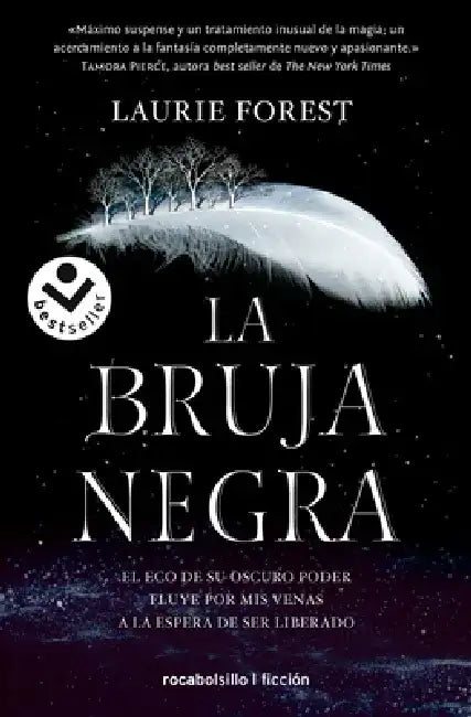 La Bruja Negra/ The Black Witch by Laurie Forest