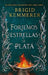 Forjemos Estrellas de Plata by Brigid Kemmerer