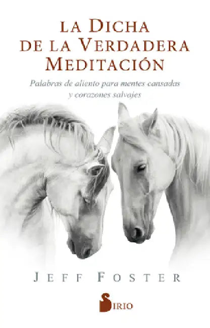 Dicha de la Verdadera Meditacion, La by Jeff Foster